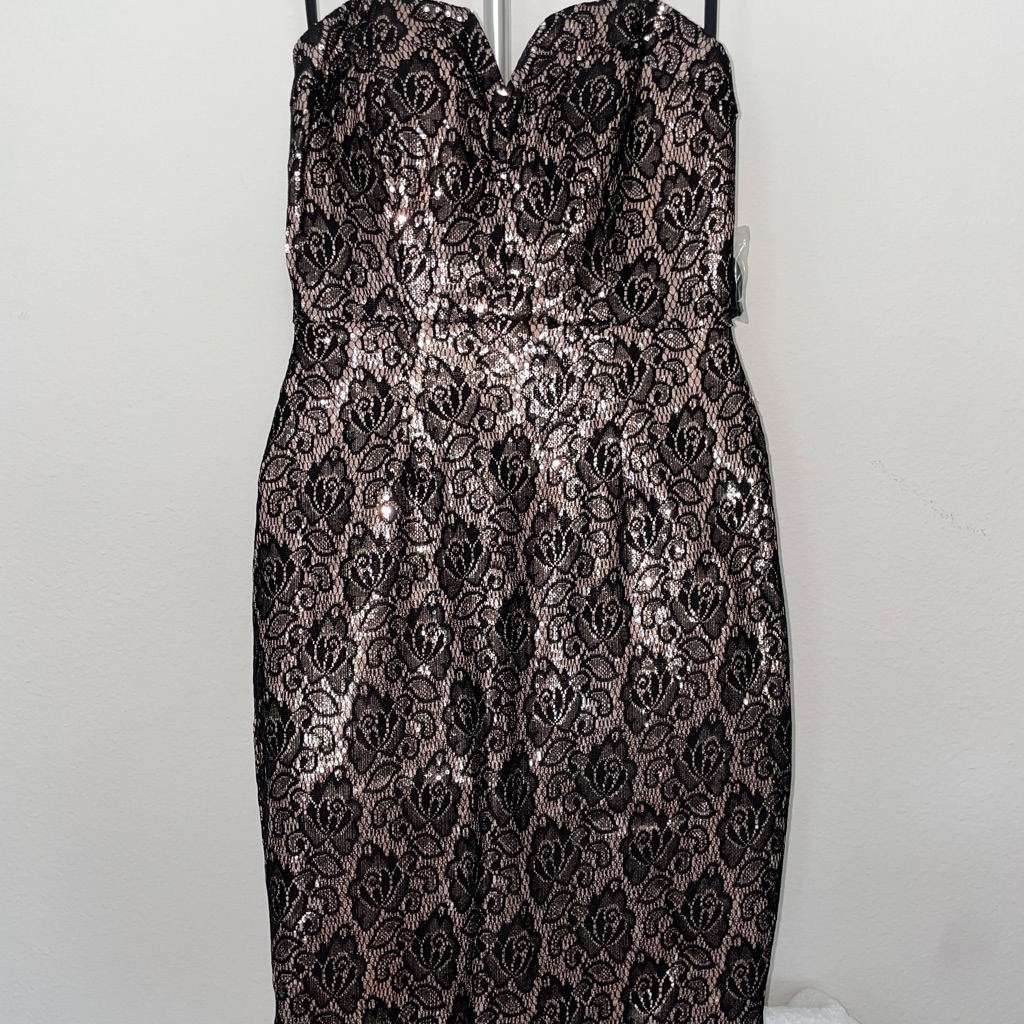 Brand New Womens Bisou Bisou BlushBlack Lace Sparkle Dress Size 4